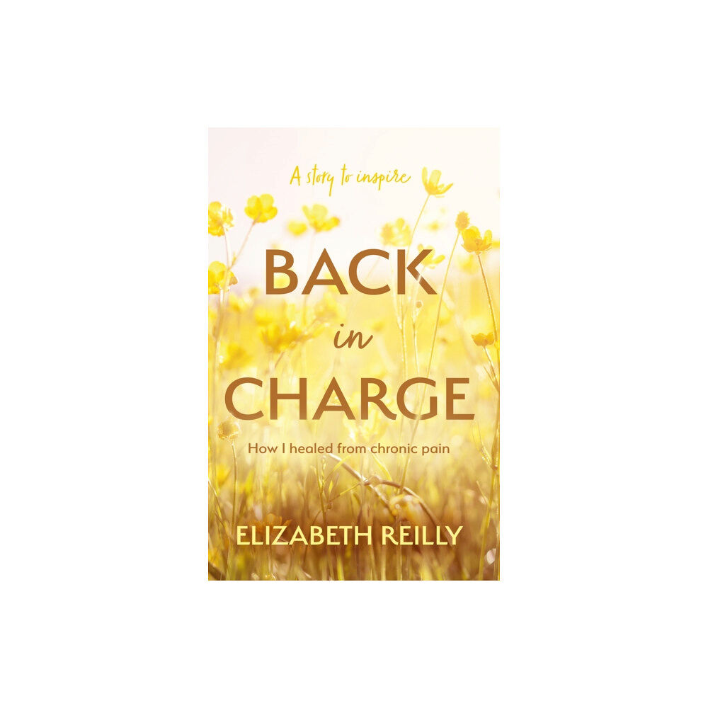 Troubador Publishing Back In Charge (häftad, eng)