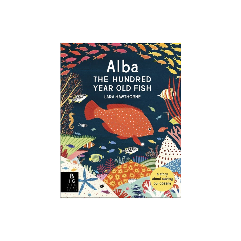 Templar Books Alba the Hundred Year Old Fish (inbunden, eng)