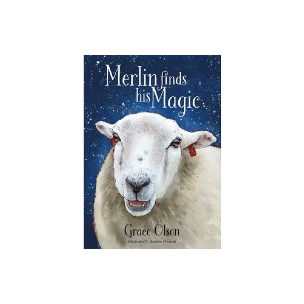 Brown Dog Books Merlin finds his Magic (häftad, eng)