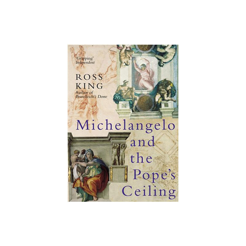 Vintage Publishing Michelangelo And The Pope's Ceiling (häftad, eng)