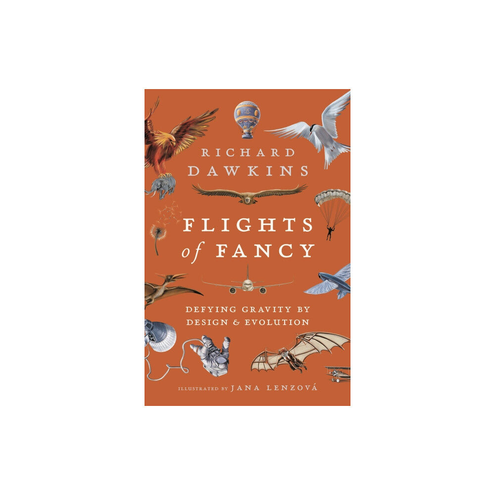 Bloomsbury Publishing PLC Flights of Fancy (häftad, eng)