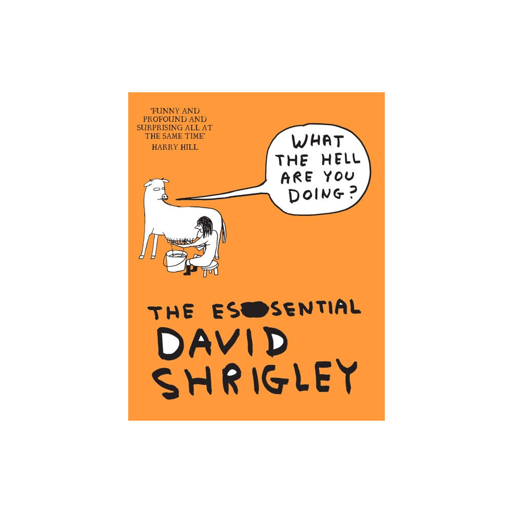 Canongate Books What The Hell Are You Doing?: The Essential David Shrigley (häftad, eng)