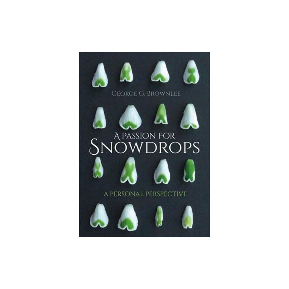 Porto Press Ltd A Passion for Snowdrops (häftad, eng)