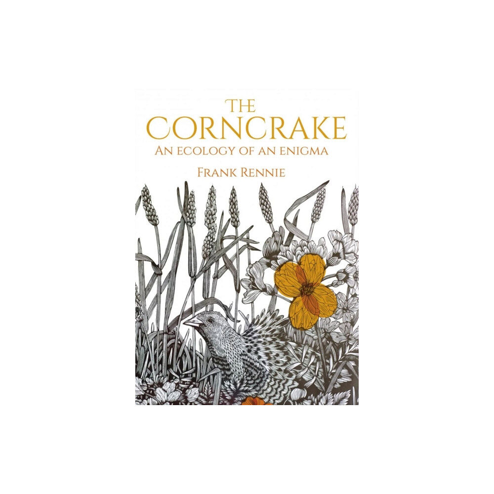 Porto Press Ltd The Corncrake (häftad, eng)