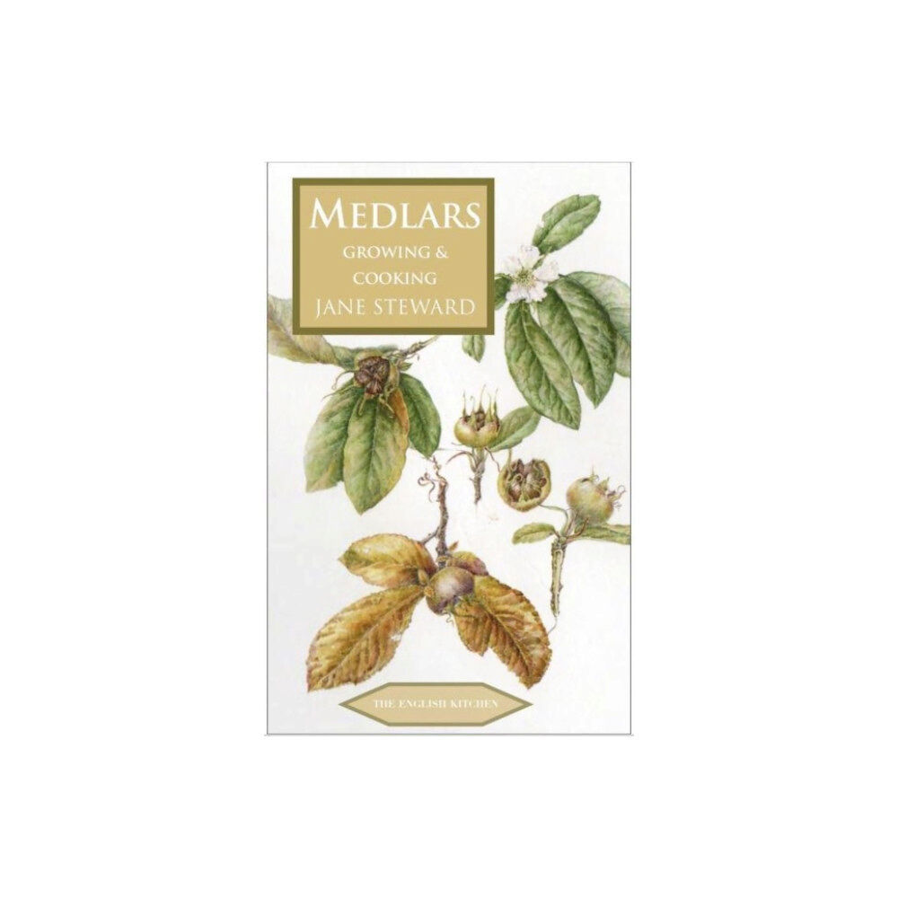 Marion Boyars Publishers Ltd Medlars (häftad, eng)