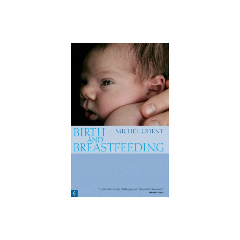 Clairview Books Birth and Breastfeeding (häftad, eng)