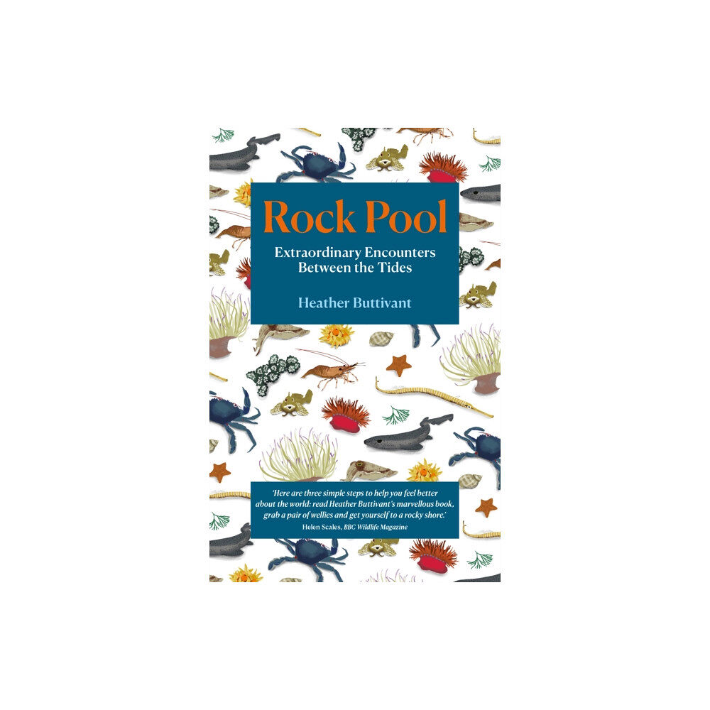 Duckworth Books Rock Pool (häftad, eng)