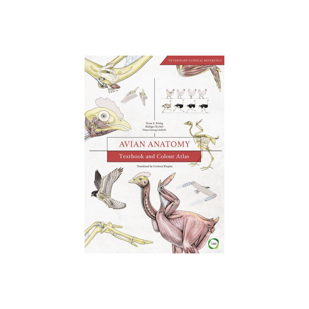 5M Books Ltd Avian Anatomy 2nd Edition (inbunden, eng)