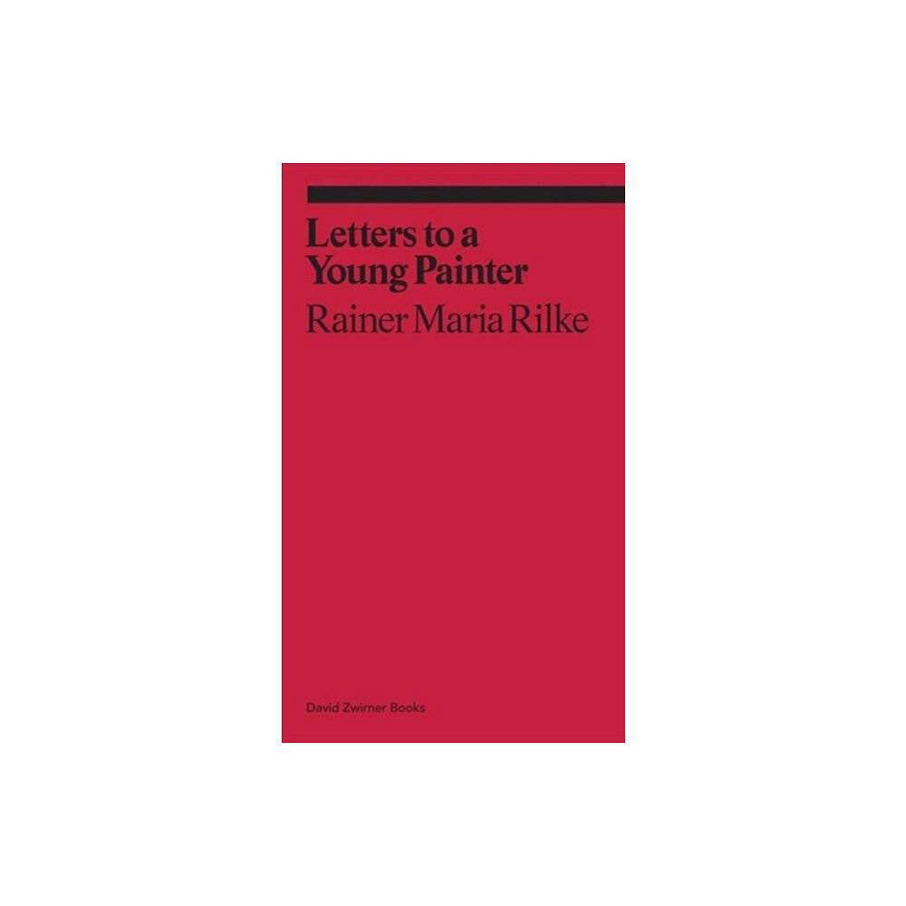 David Zwirner Letters to a Young Painter (häftad, eng)