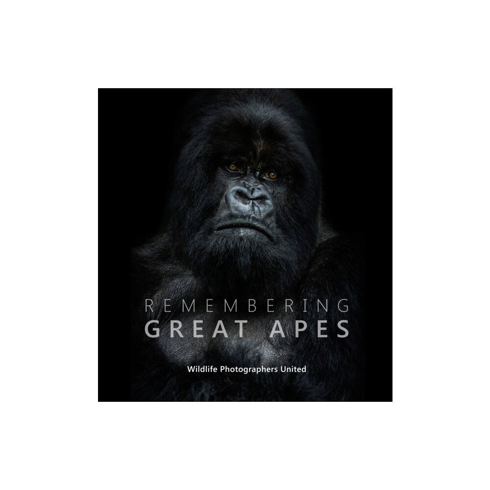 Remembering Wildlife Remembering Great Apes (inbunden, eng)