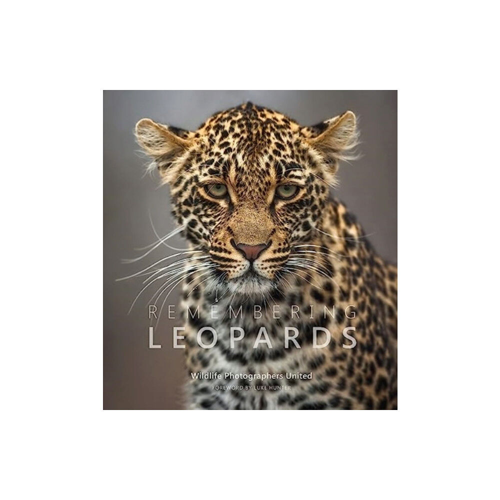 Remembering Wildlife Remembering Leopards (inbunden, eng)