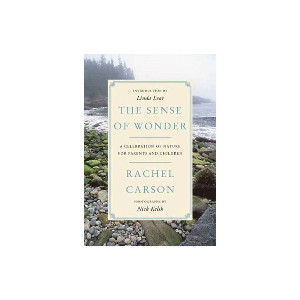 Harpercollins publishers inc The Sense of Wonder (häftad, eng)