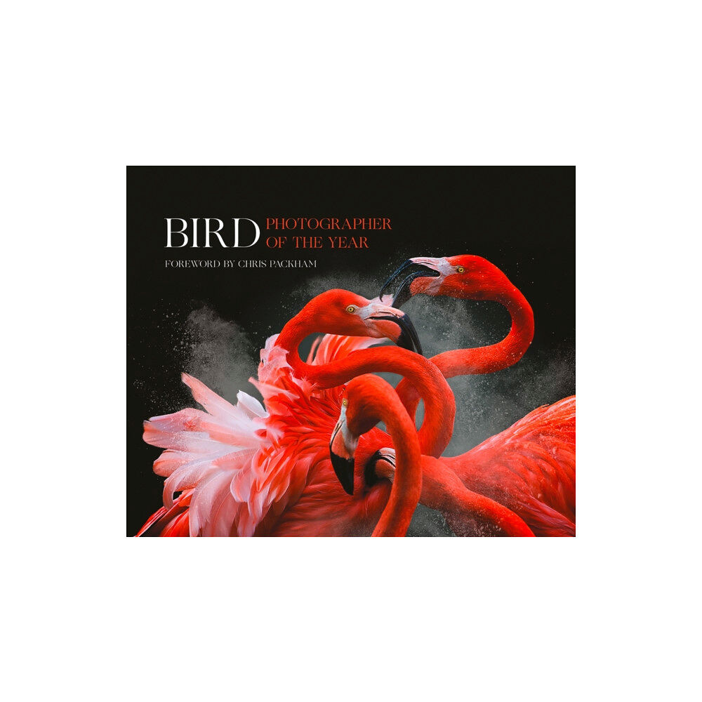 HarperCollins Publishers Bird Photographer of the Year (inbunden, eng)