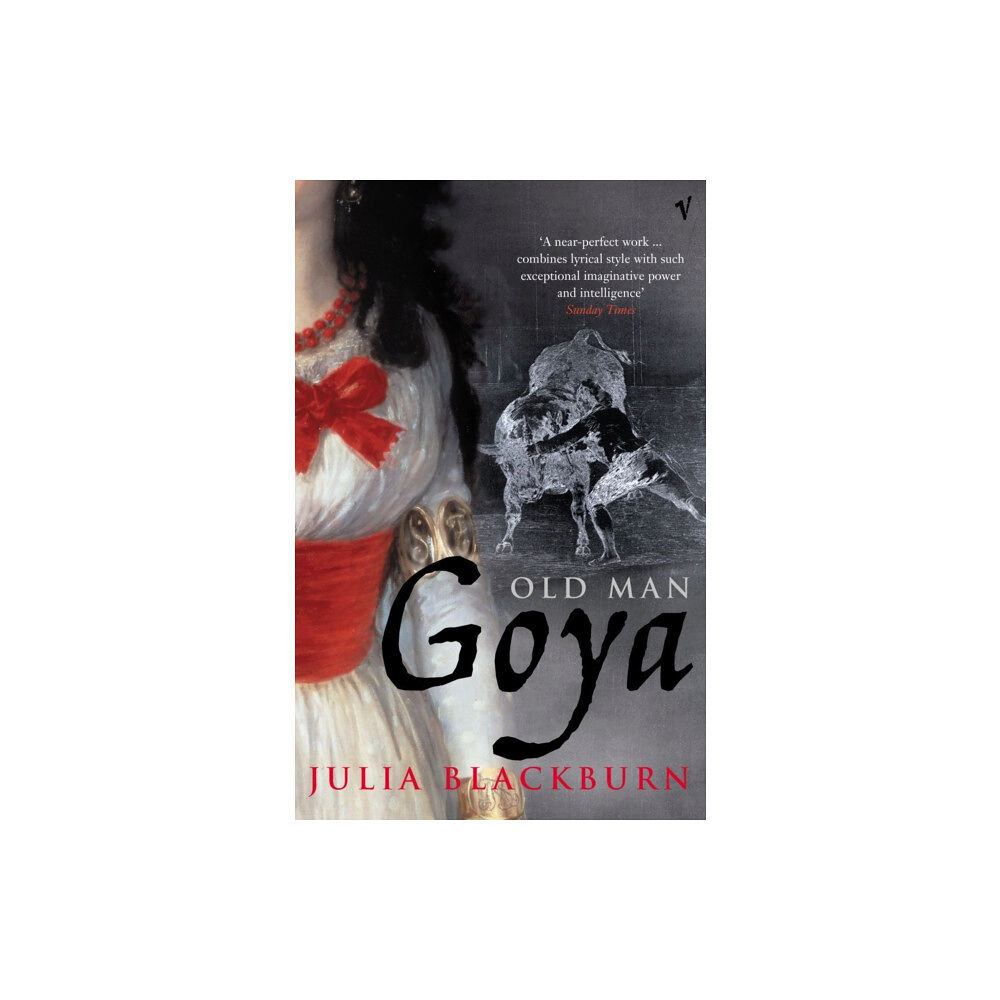 Vintage Publishing Old Man Goya (häftad, eng)