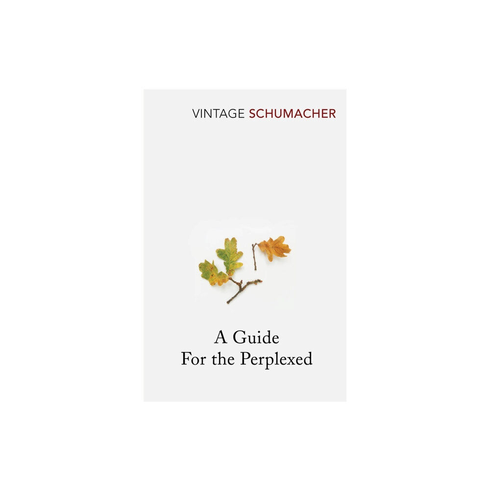 Vintage Publishing A Guide For the Perplexed (häftad, eng)