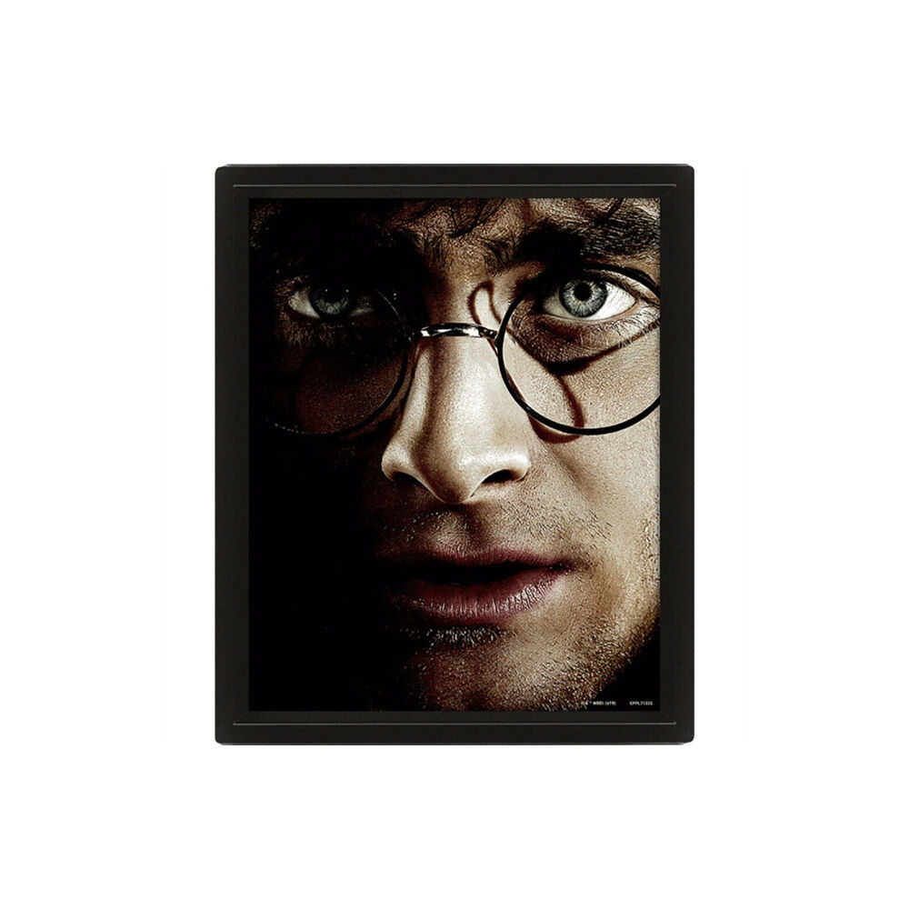 Pyramid International Harry Potter (Harry Vs Voldemort) - Framed