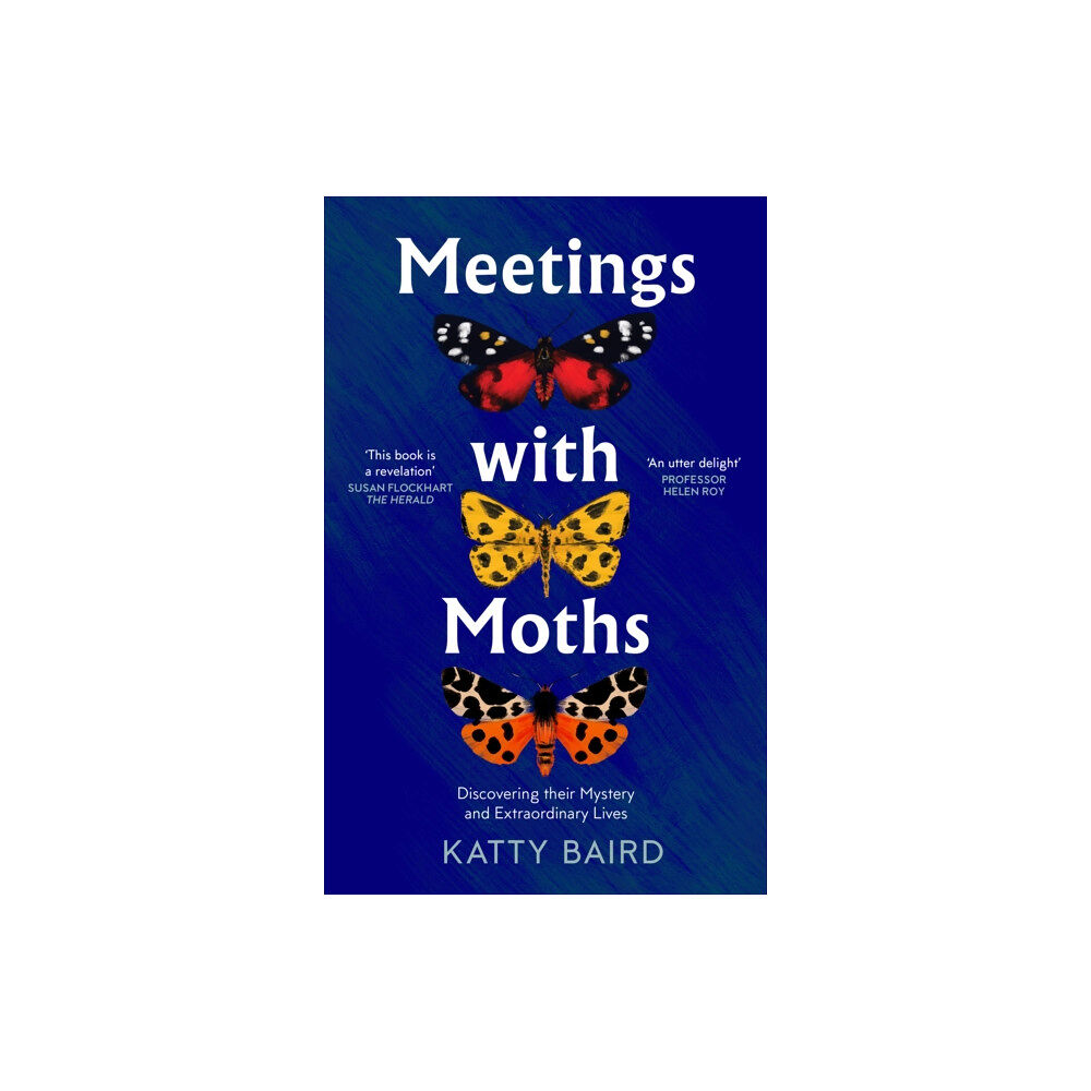 HarperCollins Publishers Meetings with Moths (häftad, eng)