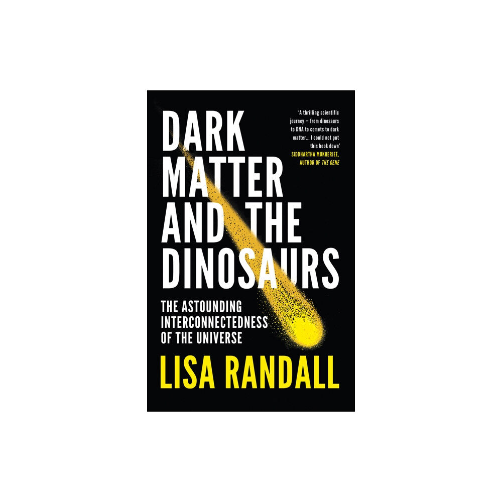 Vintage Publishing Dark Matter and the Dinosaurs (häftad, eng)