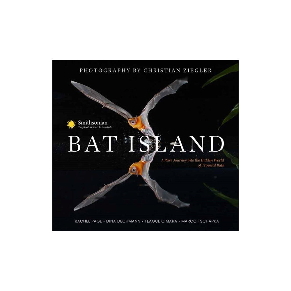 Insight Editions Bat Island (inbunden, eng)