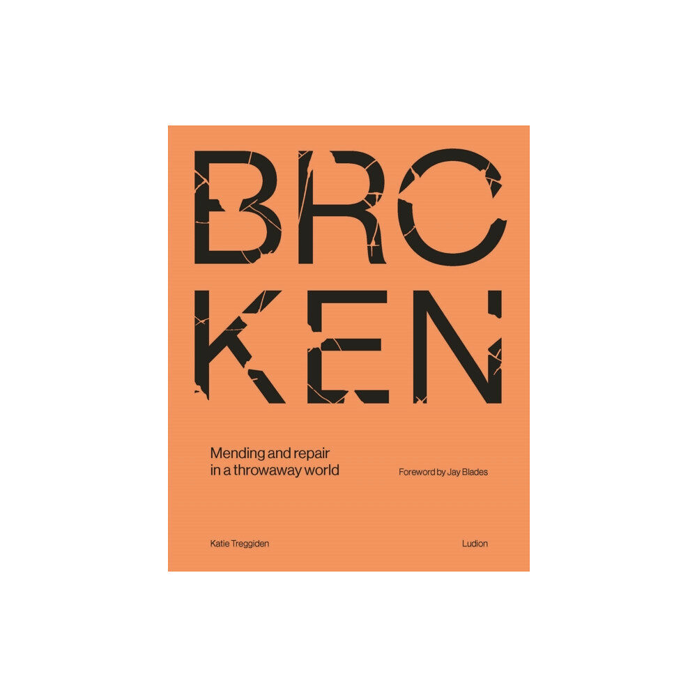 Ludion Broken (inbunden, eng)