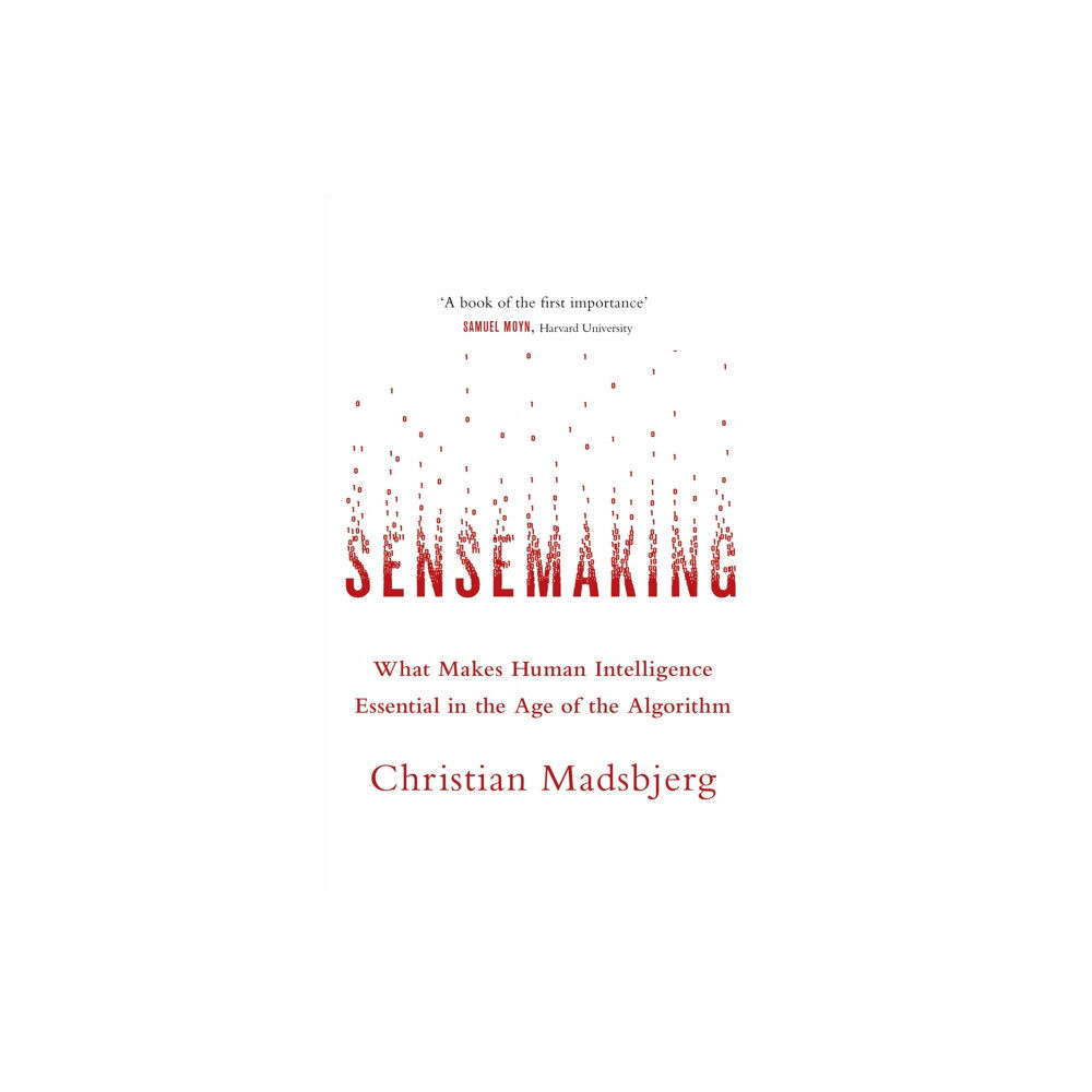Little, Brown Book Group Sensemaking (häftad, eng)