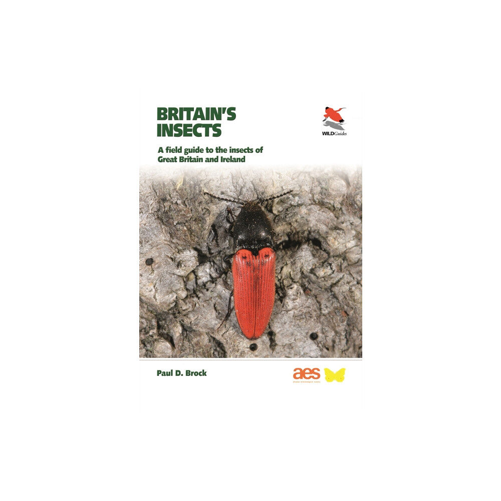 Princeton University Press Britain's Insects (häftad, eng)