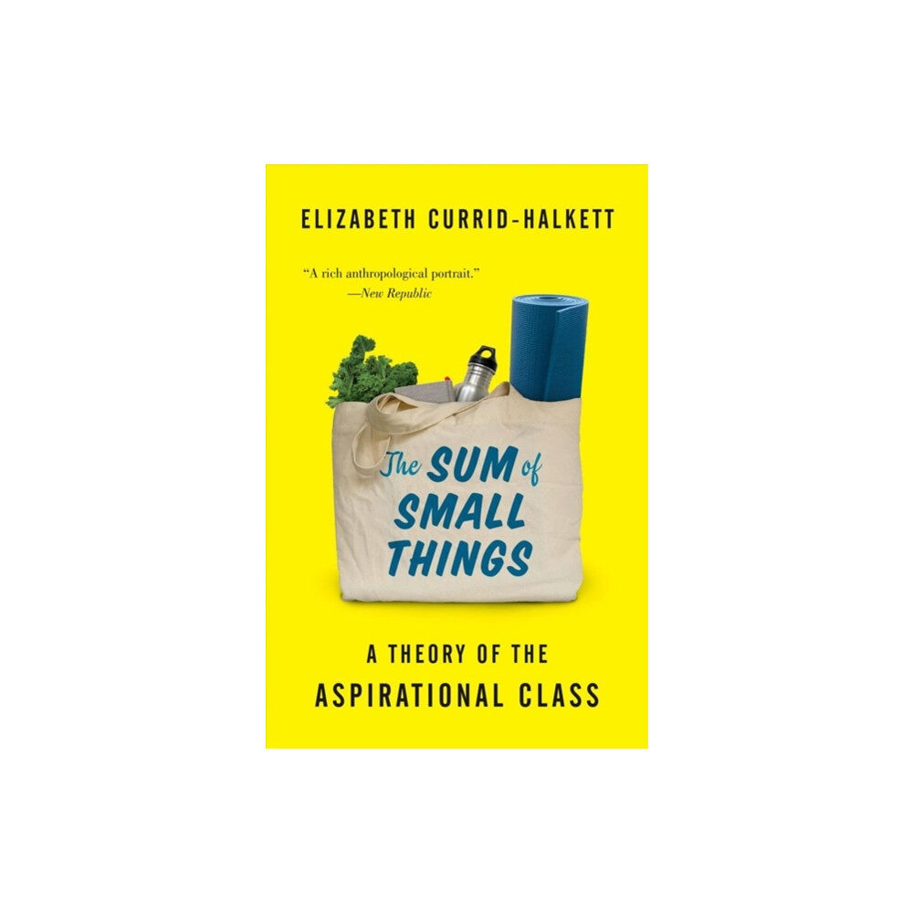Princeton University Press The Sum of Small Things (häftad, eng)