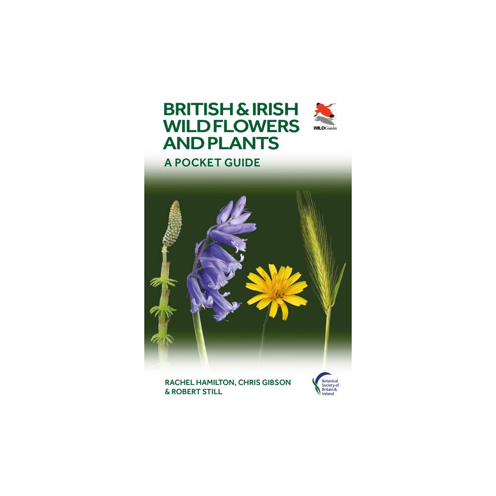 Princeton University Press British and Irish Wild Flowers and Plants (häftad, eng)