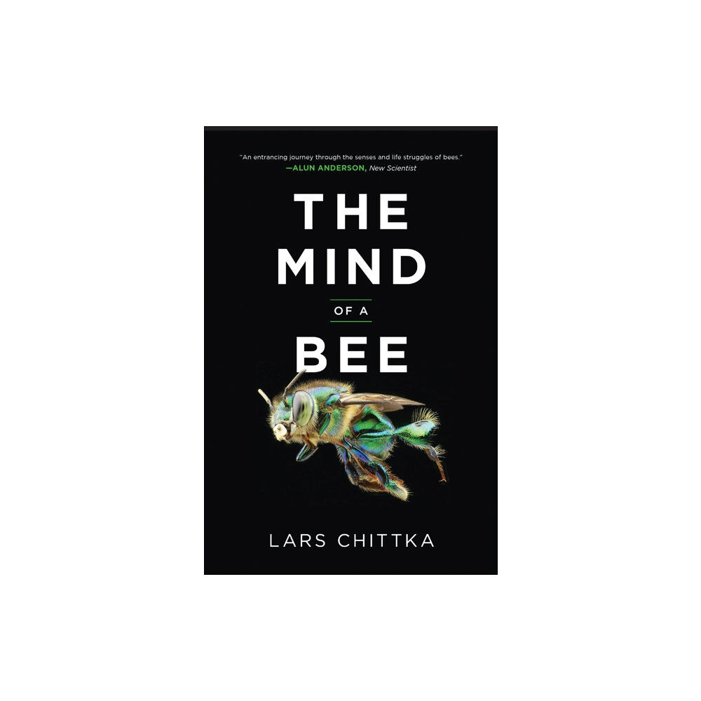 Princeton University Press The Mind of a Bee (häftad, eng)