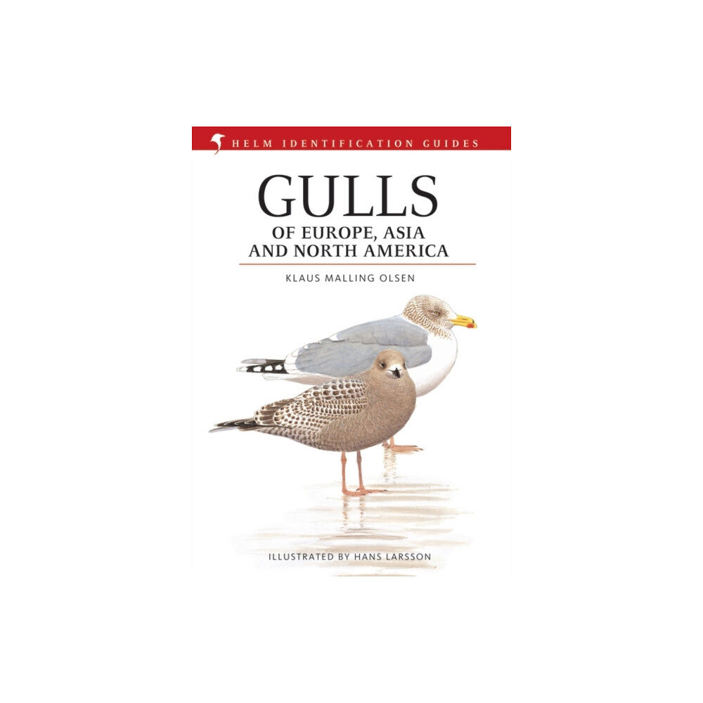 Bloomsbury Publishing PLC Gulls of Europe, Asia and North America (inbunden, eng)