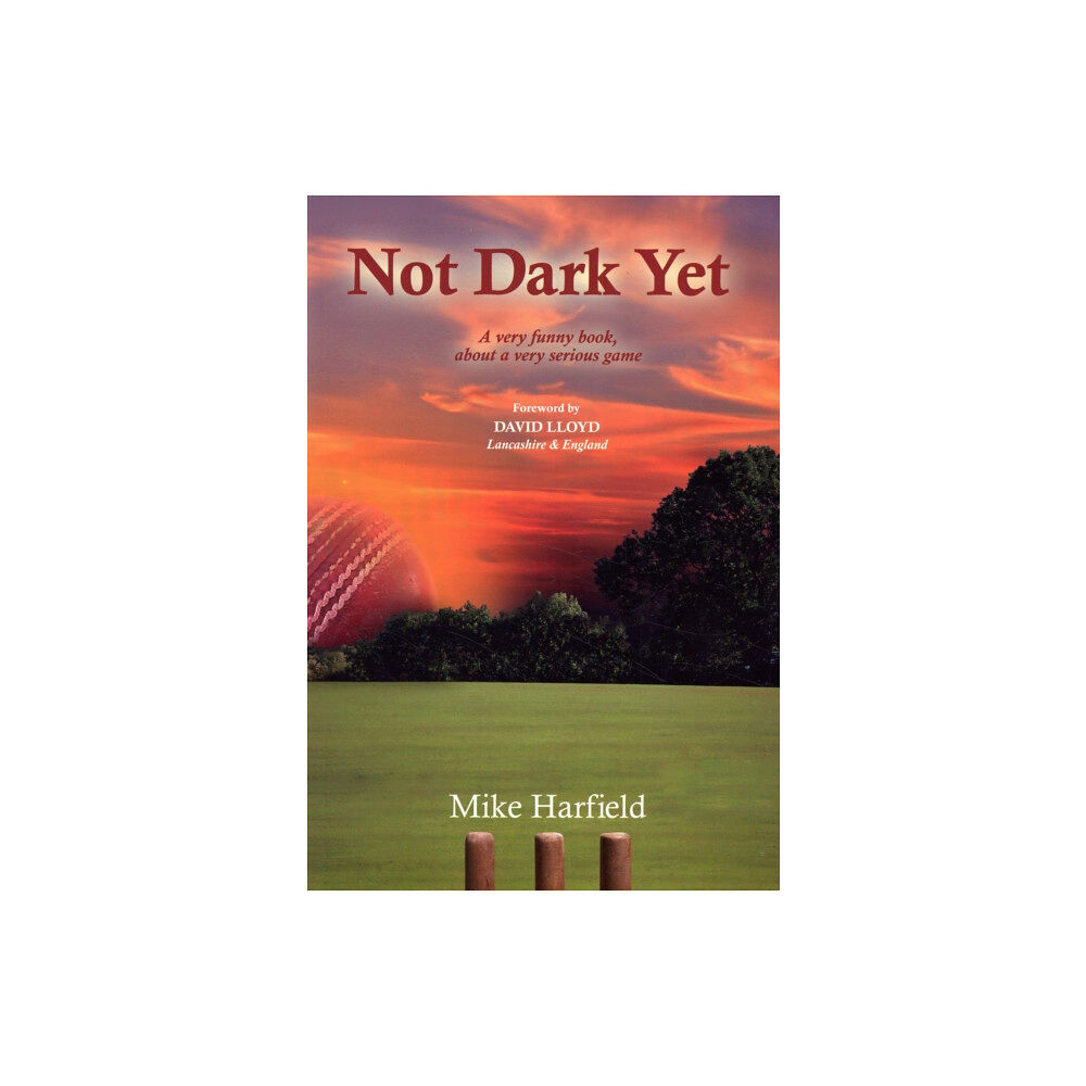 Loose Chippings Books Not Dark Yet (häftad, eng)