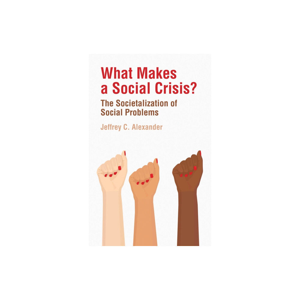 John Wiley And Sons Ltd What Makes a Social Crisis? (häftad, eng)
