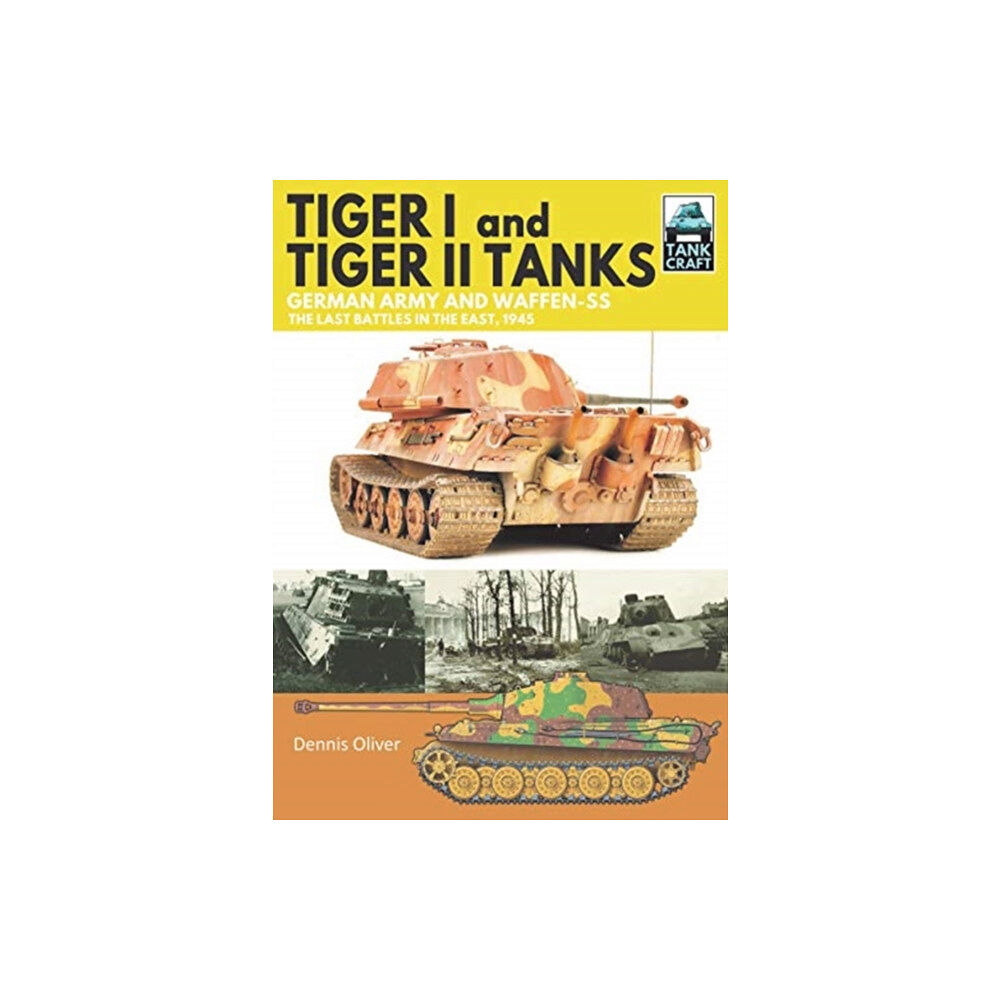Pen & Sword Books Ltd Tiger I and Tiger II Tanks (häftad, eng)
