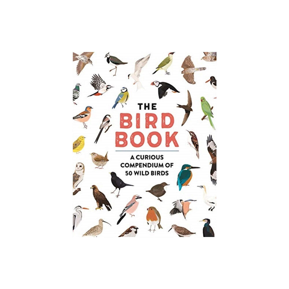 Bonnier Books Ltd The Bird Book (häftad, eng)