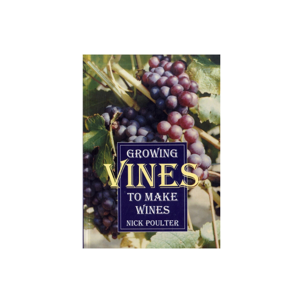Fox Chapel Publishers International Growing Vines to Make Wines (häftad, eng)