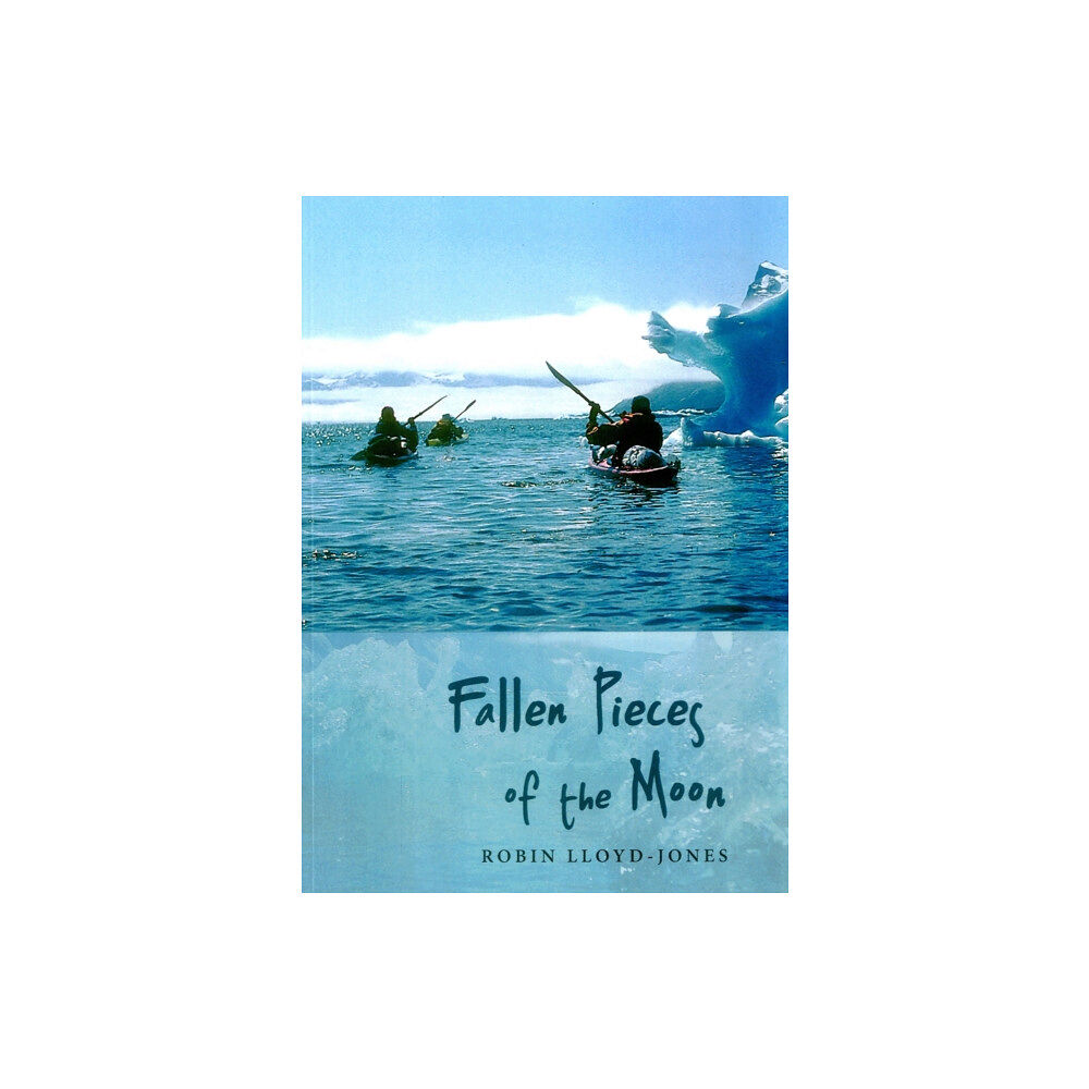 Porto Press Ltd Fallen Pieces of the Moon (häftad, eng)