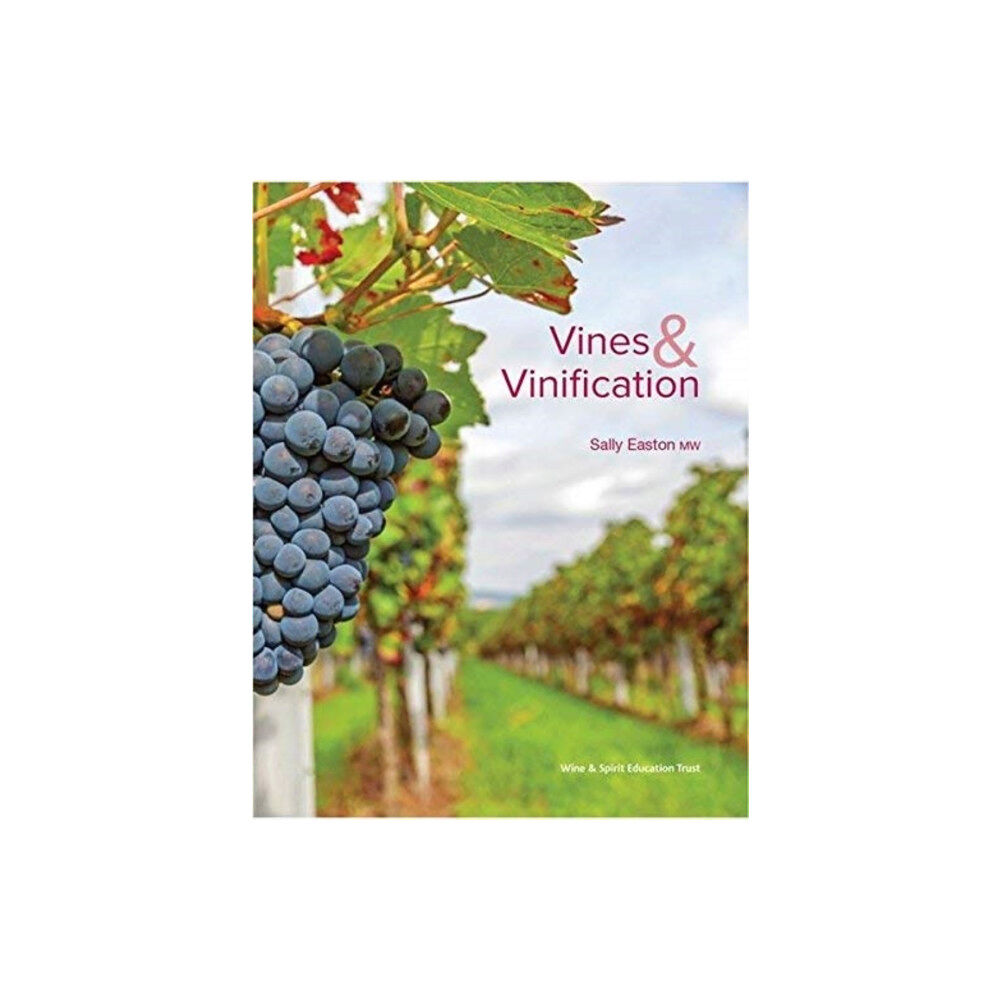 WINE & SPIRIT EDUCATION TRUST VINES & VINIFICATION (häftad, eng)