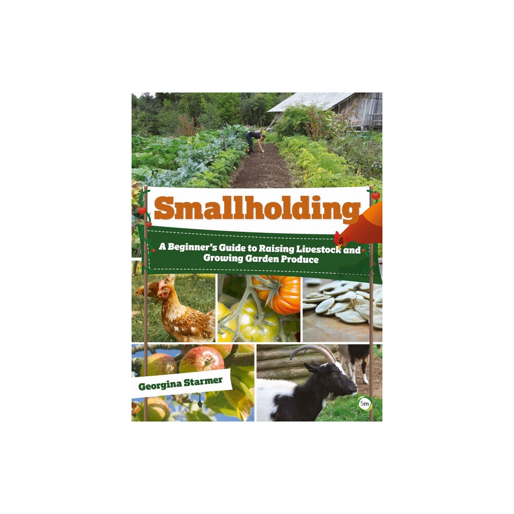 5M Books Ltd Smallholding (häftad, eng)