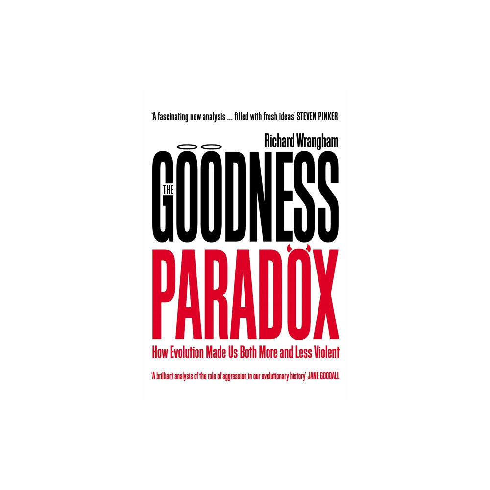 Profile Books Ltd The Goodness Paradox (häftad, eng)