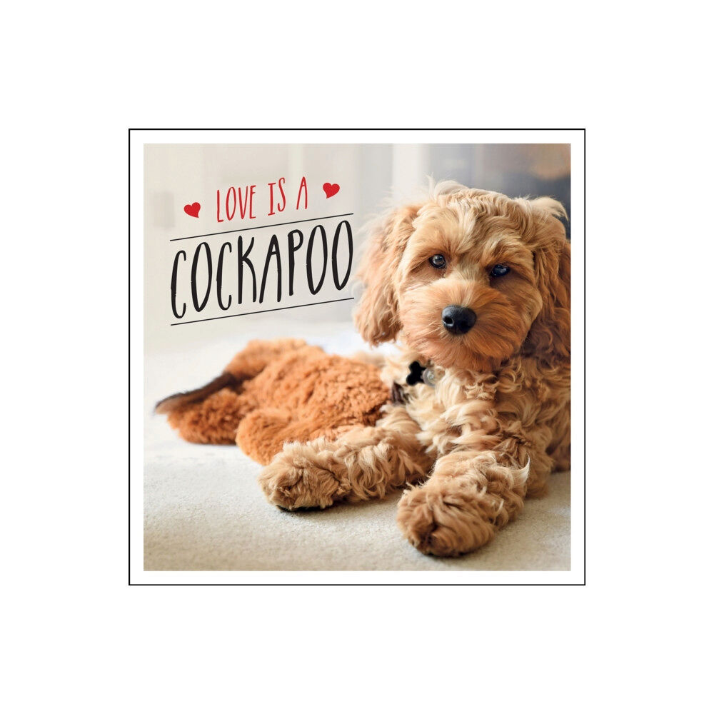Octopus publishing group Love is a Cockapoo (inbunden, eng)