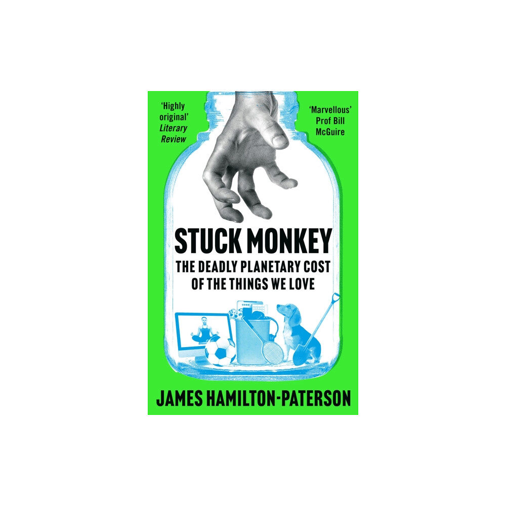 Bloomsbury Publishing PLC Stuck Monkey (häftad, eng)