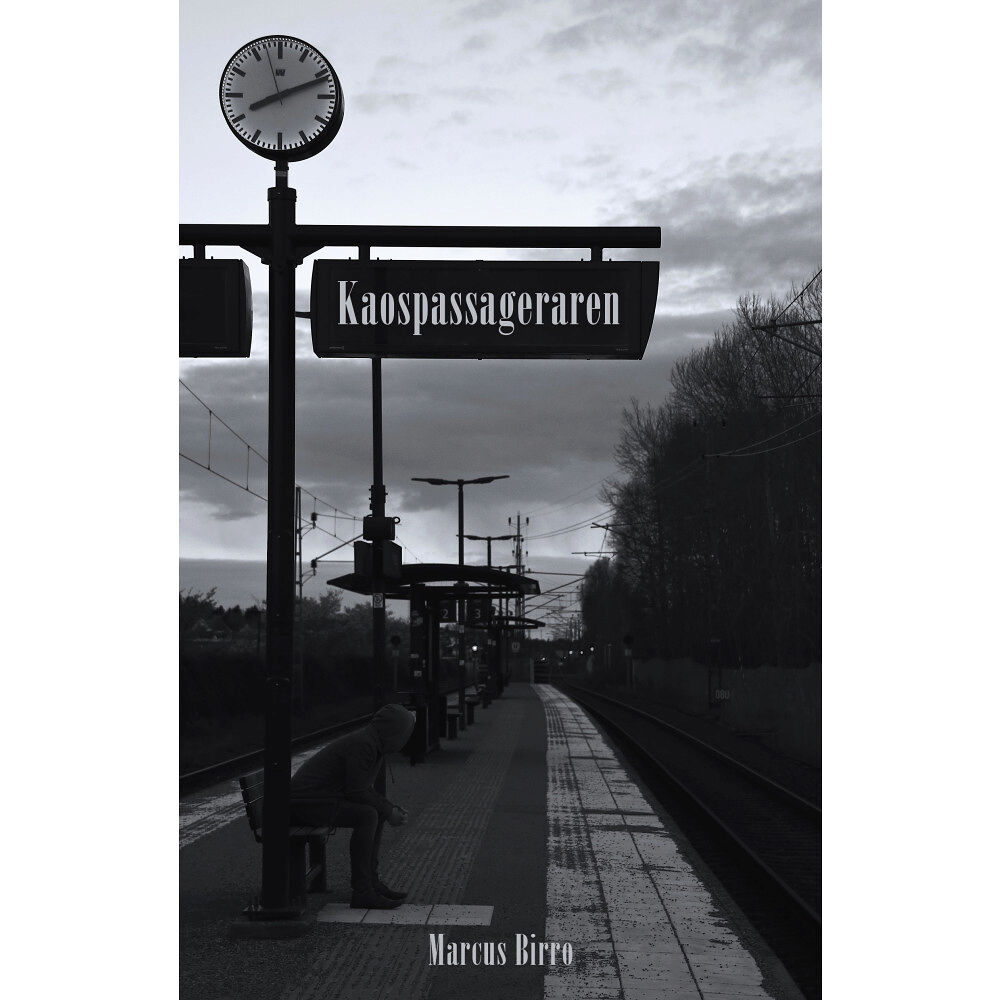 Marcus Birro Kaospassageraren (häftad)