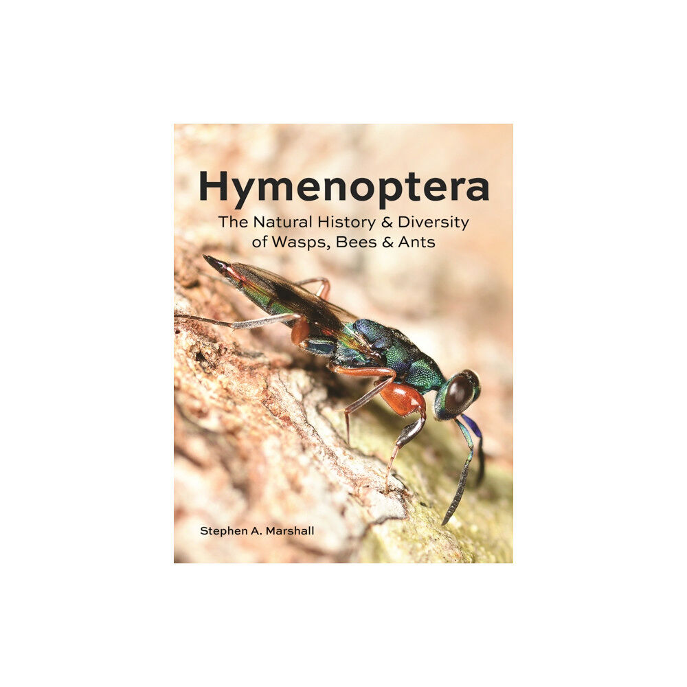 Firefly Books Ltd Hymenoptera (inbunden, eng)