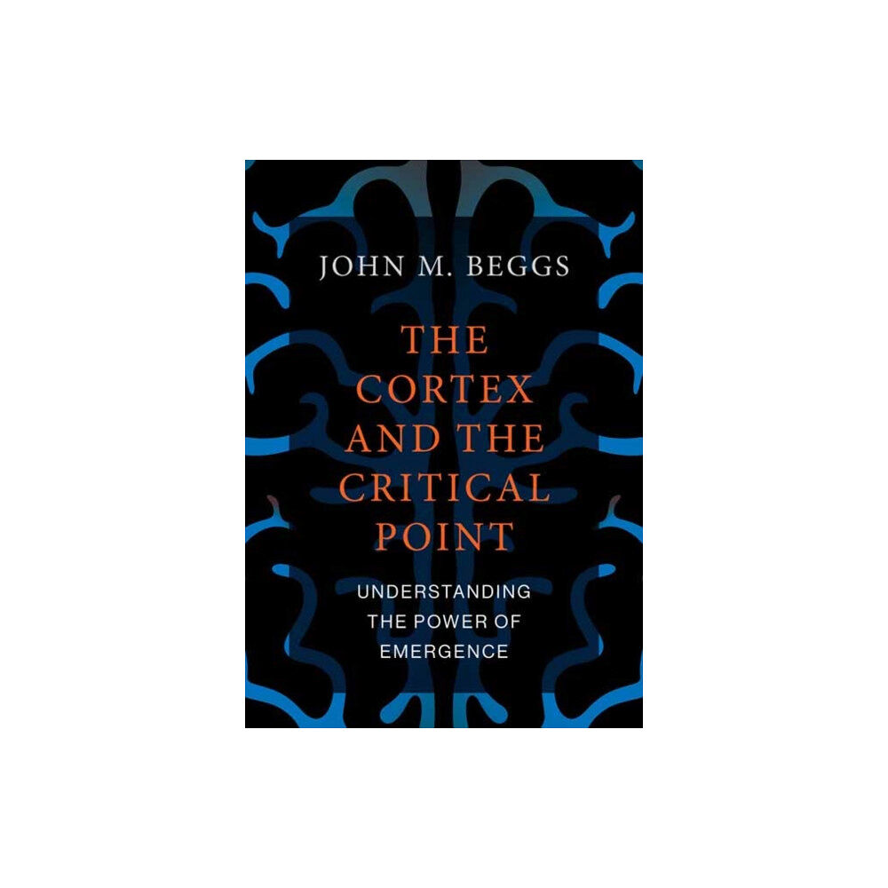 Mit press ltd The Cortex and the Critical Point (häftad, eng)