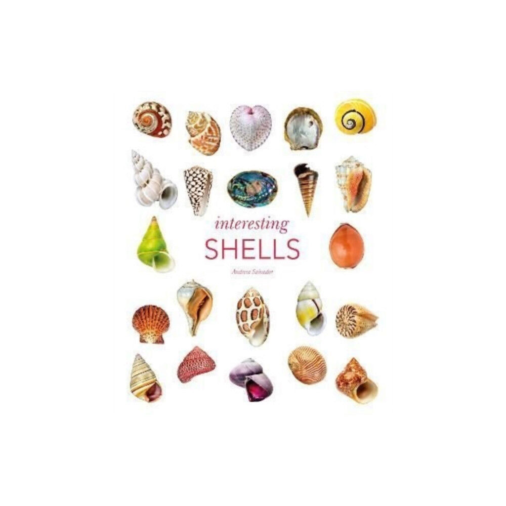 The Natural History Museum Interesting Shells (inbunden, eng)