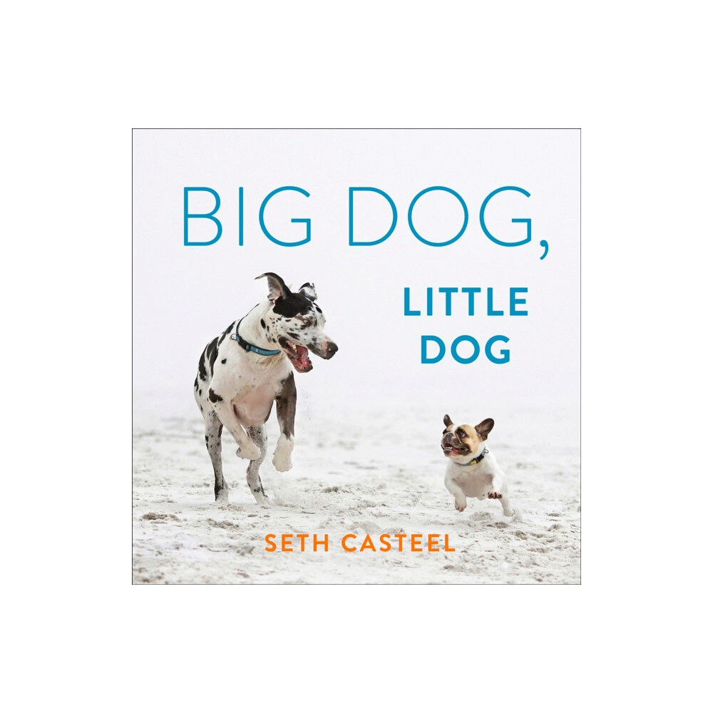 Penguin Putnam Inc Big Dog, Little Dog (inbunden, eng)