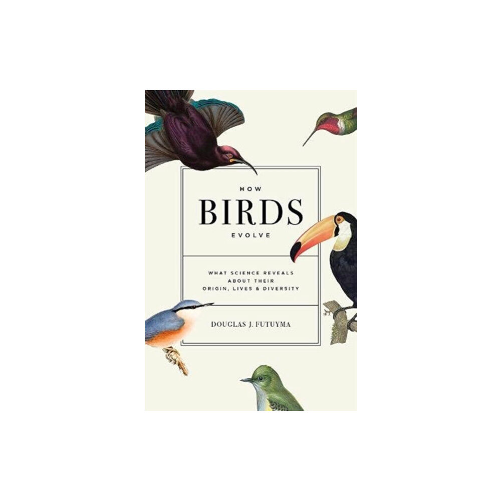 Princeton University Press How Birds Evolve (inbunden, eng)