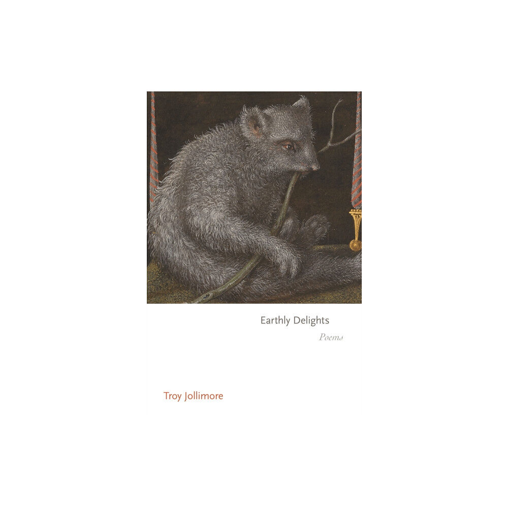 Princeton University Press Earthly Delights (häftad, eng)