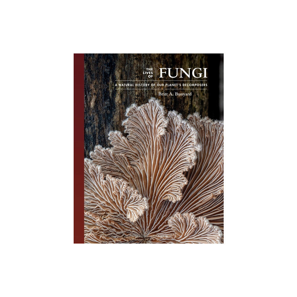 Princeton University Press The Lives of Fungi (inbunden, eng)