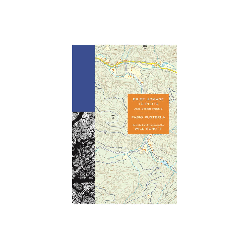 Princeton University Press Brief Homage to Pluto and Other Poems (häftad, eng)